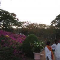 20050409_Photo_1005_IMG_0715_CMP_WM