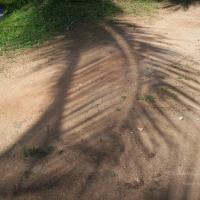 20050409_Photo_1006_100_2059_CMP_WM