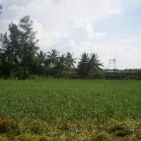 20050409_Photo_1008_100_2063_CMP_WM