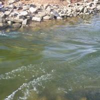 20050409_Photo_1013_100_2066_CMP_WM