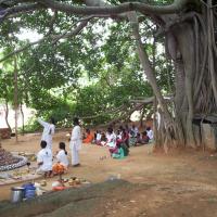 20050409_Photo_1014_100_2033_CMP_WM