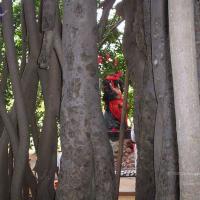 20050409_Photo_1017_100_2022_CMP_WM