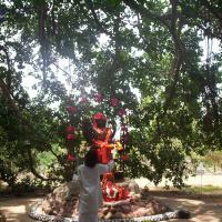 20050409_Photo_1019_100_2040_CMP_WM