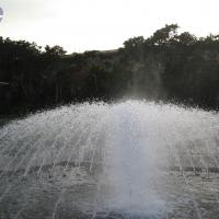 20050409_Photo_1020_IMG_0710_CMP_WM