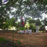 20050409_Photo_1024_100_2039_CMP_WM