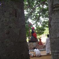 20050409_Photo_1028_100_2025_CMP_WM