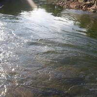 20050409_Photo_1029_100_2070_CMP_WM