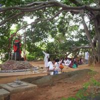 20050409_Photo_1032_100_2034_CMP_WM