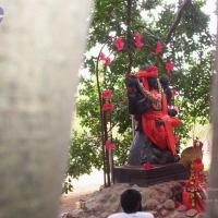 20050409_Photo_1034_100_2028_CMP_WM