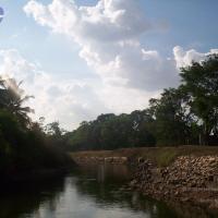 20050409_Photo_1035_100_2064_CMP_WM