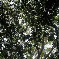 20050409_Photo_1039_100_2031_CMP_WM