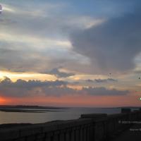 20050409_Photo_1040_IMG_0725_CMP_WM