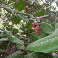 20050409_Photo_1044_100_2017_CMP_WM