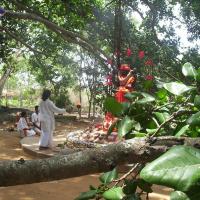 20050409_Photo_1045_100_2042_CMP_WM