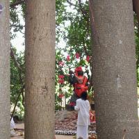 20050409_Photo_1047_100_2019_CMP_WM