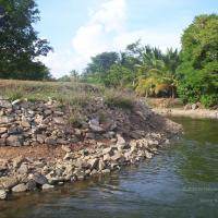 20050409_Photo_1049_100_2067_CMP_WM