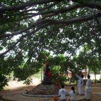 20050409_Photo_1050_100_2032_CMP_WM