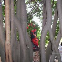 20050409_Photo_1054_100_2023_CMP_WM