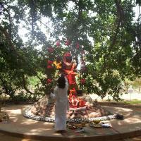 20050409_Photo_1056_100_2041_CMP_WM