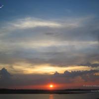 20050409_Photo_1059_IMG_0726_CMP_WM