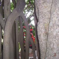 20050409_Photo_1061_100_2026_CMP_WM