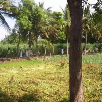 20050409_Photo_1069_100_2062_CMP_WM