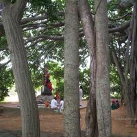 20050409_Photo_1072_100_2037_CMP_WM