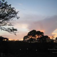 20050409_Photo_1076_IMG_0729_CMP_WM