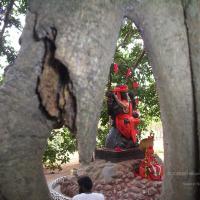 20050409_Photo_1077_100_2030_CMP_WM