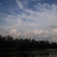 20050409_Photo_1078_100_2097_CMP_WM