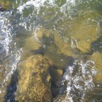 20050409_Photo_1080_100_2068_CMP_WM