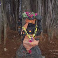 20050409_Photo_1081_100_2021_CMP_WM