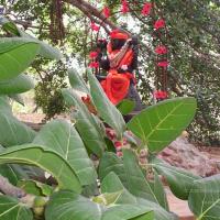 20050409_Photo_1082_100_2016_CMP_WM