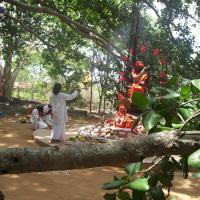 20050409_Photo_1083_100_2043_CMP_WM