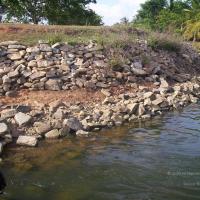 20050409_Photo_1084_100_2074_CMP_WM