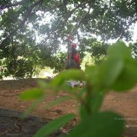 20050409_Photo_1085_100_2038_CMP_WM