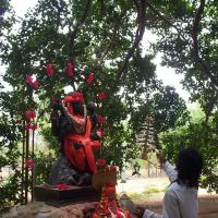 20050409_Photo_1088_100_2013_CMP_WM