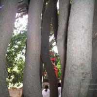 20050409_Photo_1089_100_2024_CMP_WM