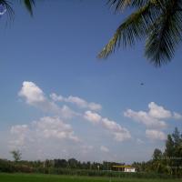 20050409_Photo_1092_100_2060_CMP_WM