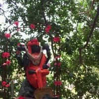 20050409_Photo_1094_100_2002_CMP_WM