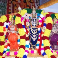 20051201_Photo_1042_DSC_3858_CMP_WM