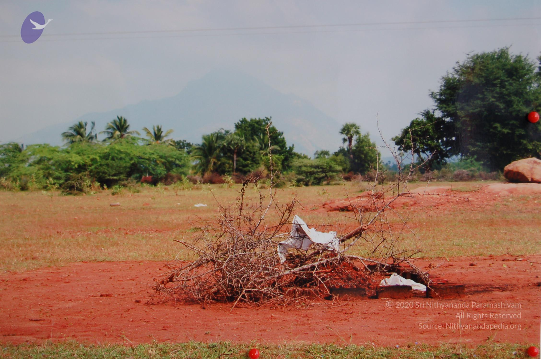 20051201_Photo_1112_DSC_3863_CMP_WM