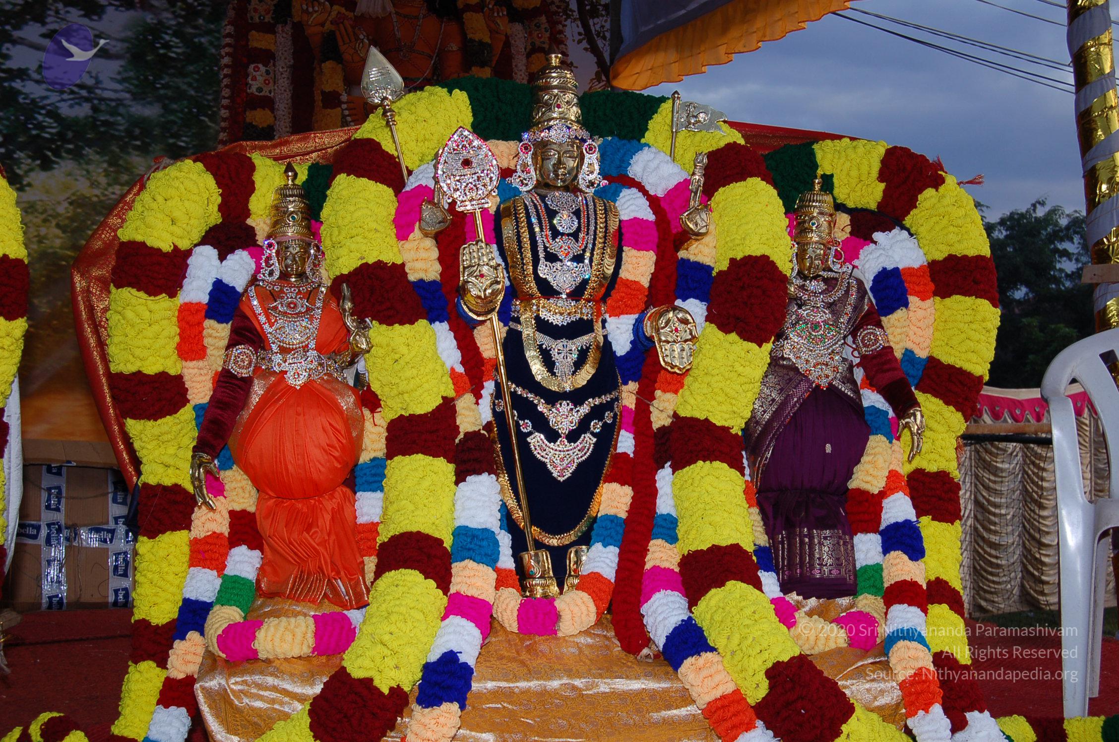 20051201_Photo_1116_DSC_3848_CMP_WM