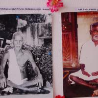 20051201_Photo_1121_DSC_4184_CMP_WM