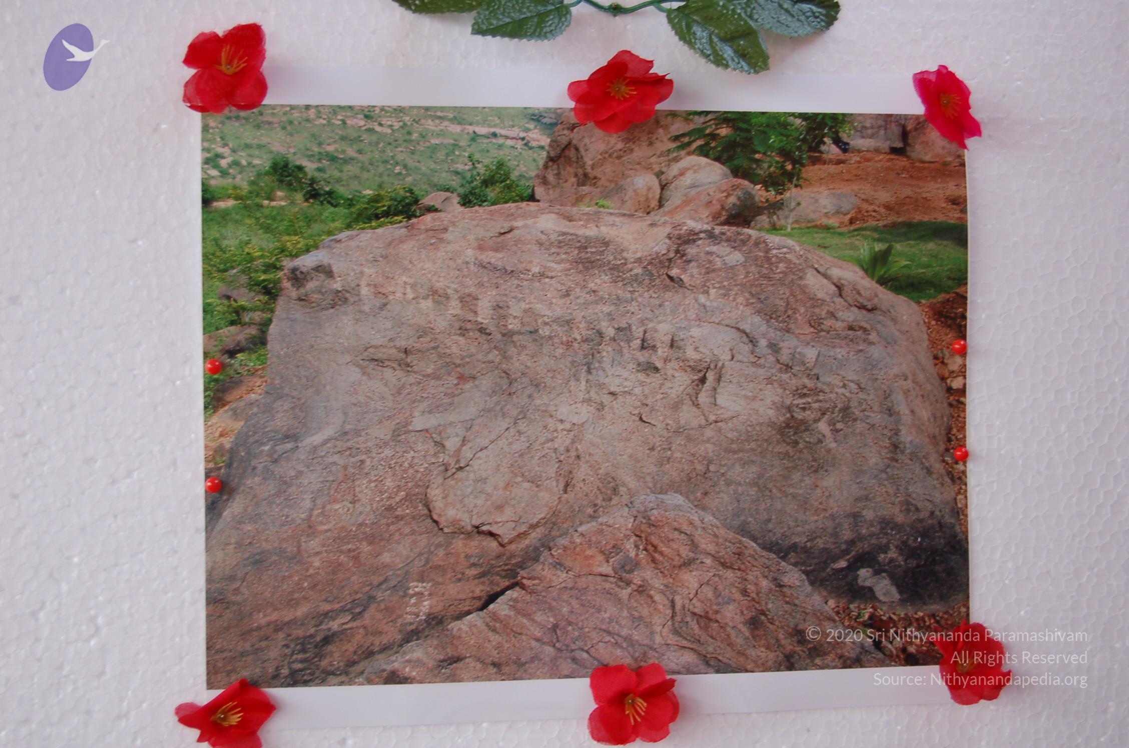 20051201_Photo_1174_DSC_3861_CMP_WM