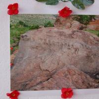 20051201_Photo_1174_DSC_3861_CMP_WM