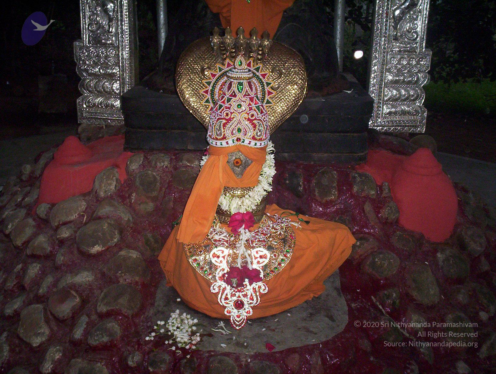 20051215_Photo_1023_100_1379_CMP_WM