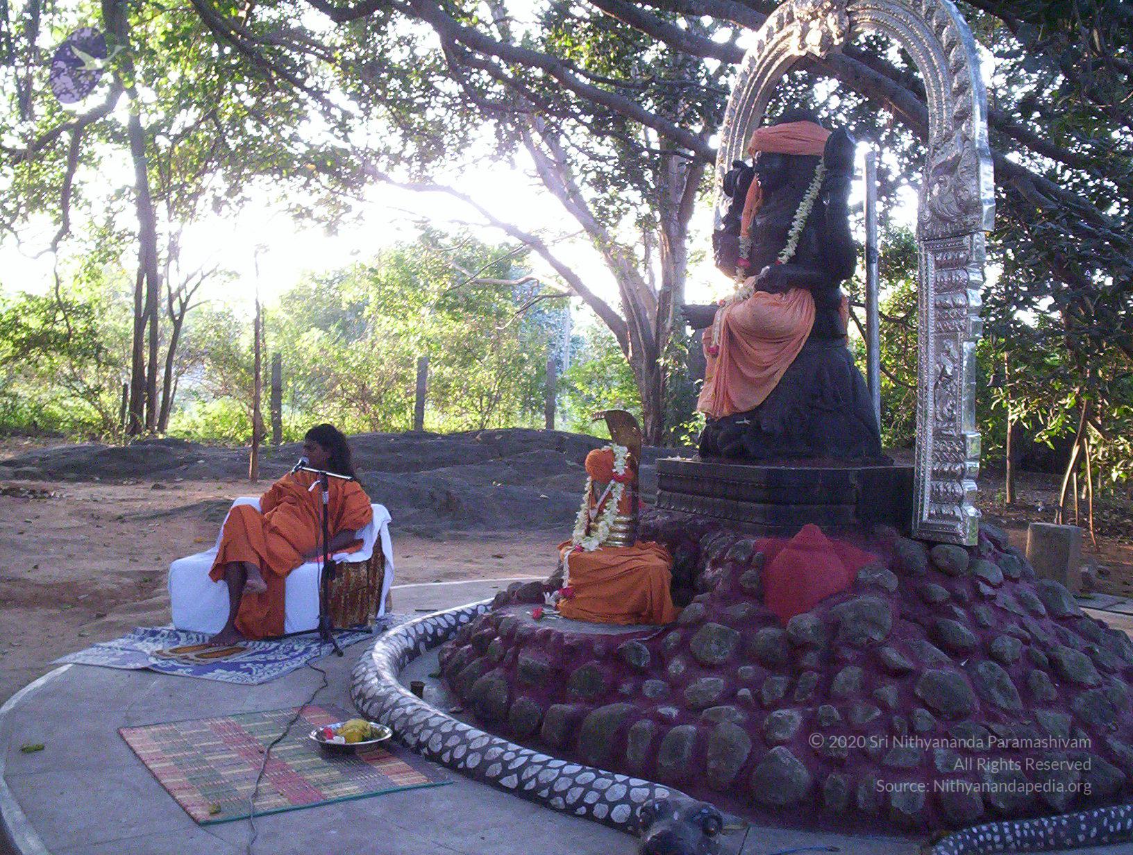 20051215_Photo_1026_100_1352_CMP_WM