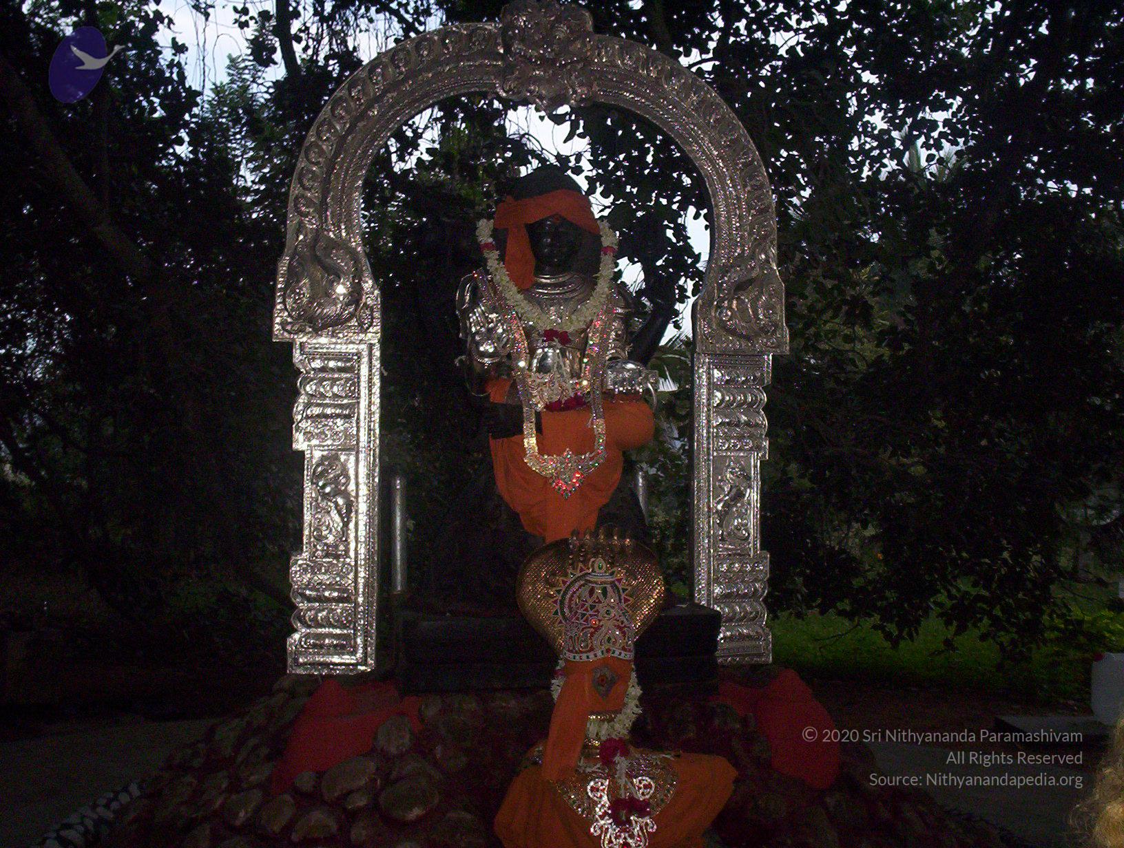 20051215_Photo_1033_100_1381_CMP_WM