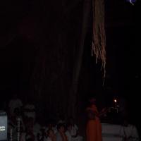 20051215_Photo_1048_100_1376_CMP_WM